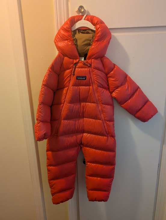 Patagonia Other - Patagonia Infant Hi-Loft Down Sweater™ Bunting in Sierra Pink